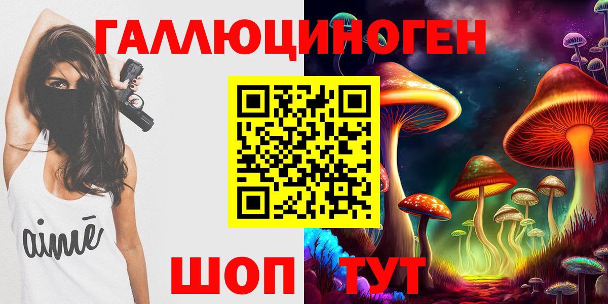 Пятигорск  Галлюциногенные грибы Psilocybine cubensis  Вход с VPN 